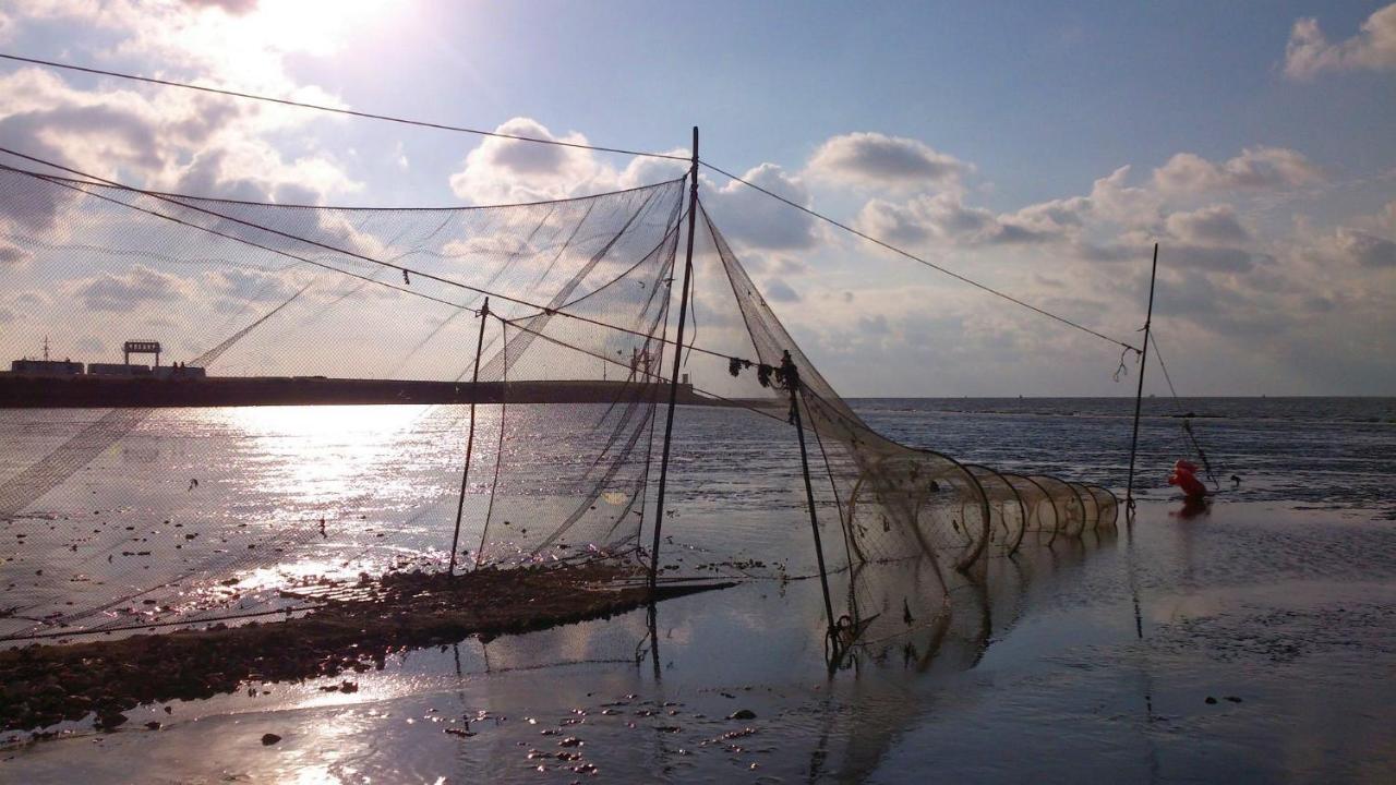 Sea La Vie Βίλα Lauwersoog Εξωτερικό φωτογραφία